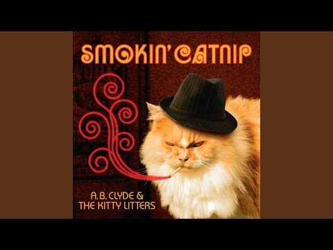 Nobody Loves A Fat Man