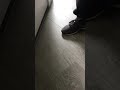 This is what happens when you don’t leave expansion gap for flooring. #flooring #fail #lvp #laminate