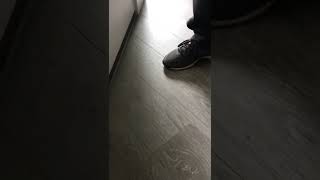 Download lagu This is what happens when you don’t leave expansion gap for flooring. #flooring #fail #lvp #laminate mp3 Download lagu This is what happens when you don’t leave expansion gap for flooring. #flooring #fail #lvp #laminate mp3
