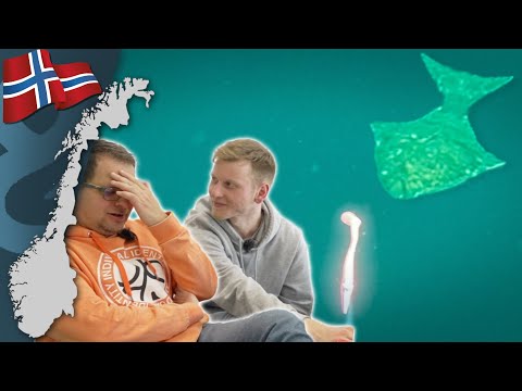 Norwegen unter Wasser - was machen Heilbutt, Dorsch und Co. beim Angeln wirklich am Köder? 🇳🇴