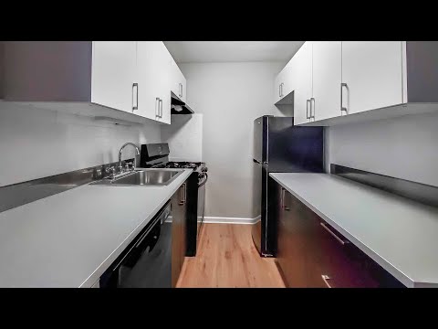 An updated Lakeview East studio, #358 at 515 W Barry An updated Lakeview East studio, #358 at 515 W Barry