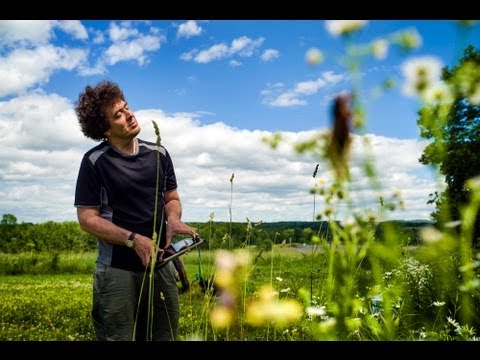 Bug Music: David Rothenberg's Insect Choir