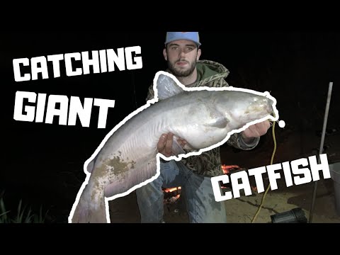 Trinity River FISHING!! Catching GIANT CATFISH!!