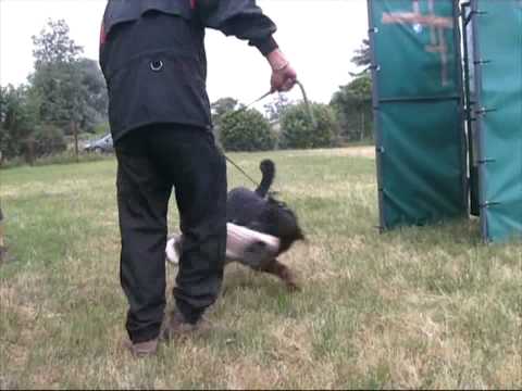 Maik Buoso Da Dovara