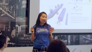 Engineering M13 Bacteriophage NIR-II Platforms for Tumor Imaging Applications