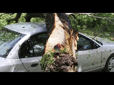 Territories facing natural disasters: what tools are available to prevent risks? - CESE