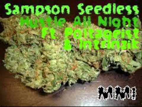 Sampson Seedless-Hustle All Night Ft Poltageist & Intrinzik