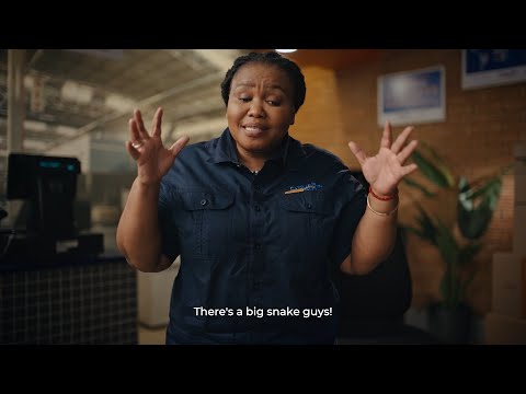 Snake at the Kiosk! 🐍 | The Courier Guy | Based on a True Story (Ep 1)