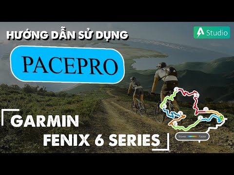 Hướng dẫn sử dụng tính năng PacePro trên Garmin