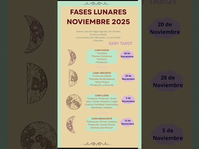 Vídeo relacionado con KSJEHW 2 Piezas Soporte de Carta Tarot de Madera 4 Soportes de Altar de Carta de Tarot de Fase Lunar con Patrón de Polilla Solar Exposición Forma de Rectángulo Luna Herramienta de Adivinación Bruja