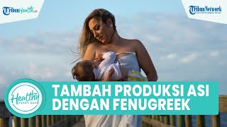 Manfaat Konsumsi Fenugreek yang Bikin Produksi ASI Melimpah, Begini Kandungan Nutrisi untuk Tubuh