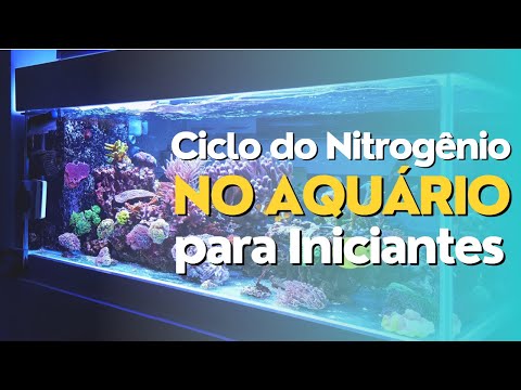 "Ciclo do Nitrogênio no Aquário: O Que É e Como Funciona | Guia Completo para Iniciantes"