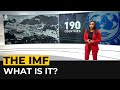 What is IMF and why does it matter?
