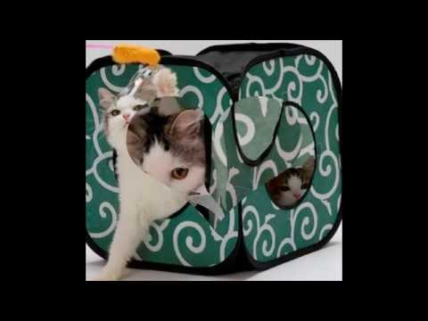 TPH Introducing - Ninja Cat Cube Toy