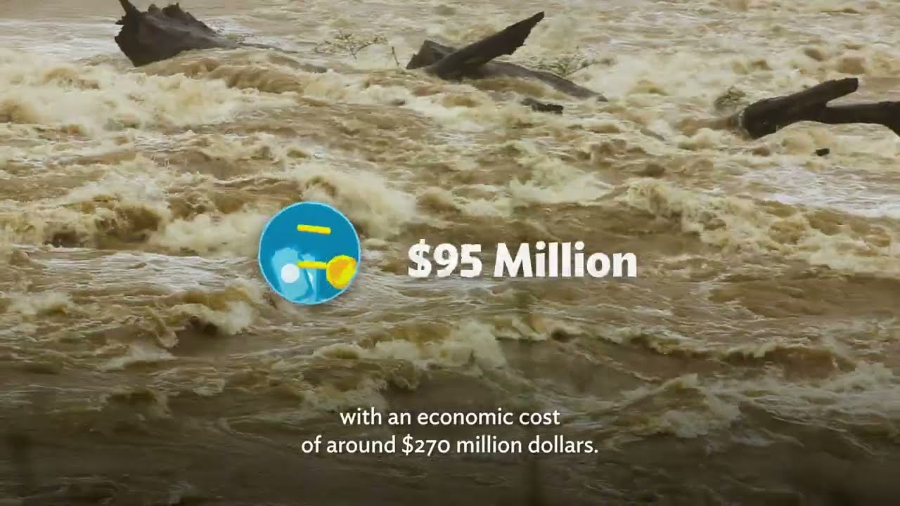 Risk-Layered Disaster Relief Finance Program Video