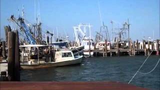preview picture of video 'It's Oyster Time in Rockport-Fulton Texas'