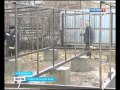 Приют для бездомных животных откроется в Ставрополе 