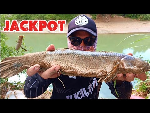 P1 - JACKPOT BIG DALAG at BIG PAGONG