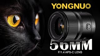 YONGNUO 56mm f/1.4 APS-C Lens Review | The Perfect Portrait & Video Lens?