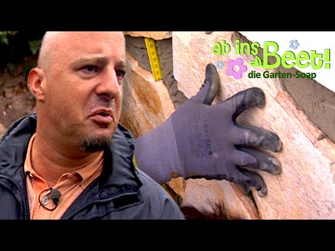 Detlef Steves: Ausraster mit Stein | Ich geb' dem Ding gleich 'ne Kopfnuss! | Ab ins Beet!