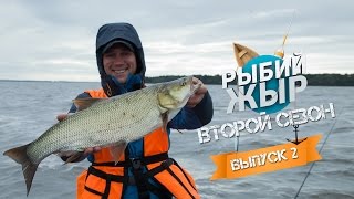 Рыбий жир передача о рыбалке горьковское водохранилище жереха