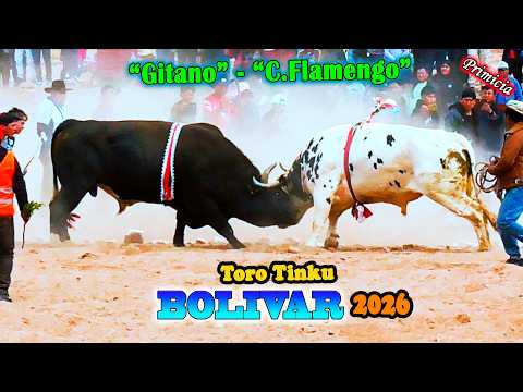 ToroTinku de BOLIVAR 2026 T2-"Gitano-Covu Flamengo". (Video Oficial) de ALPRO BO.