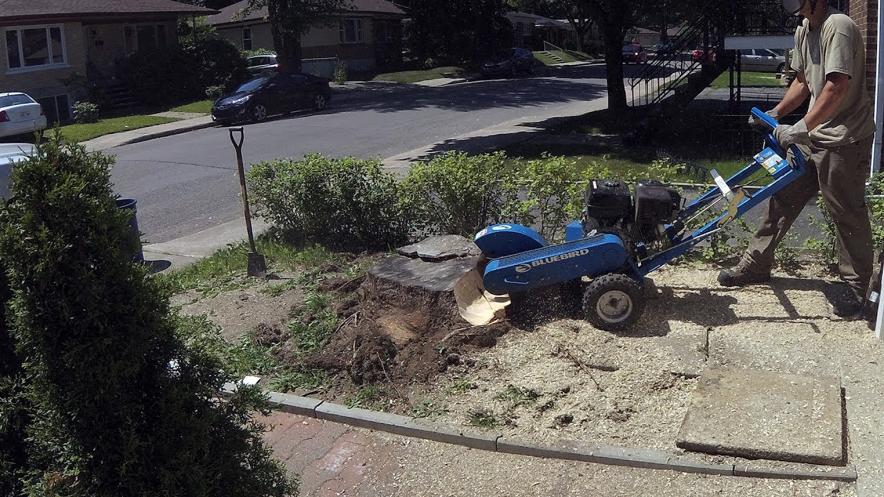 YouTube video thumbnail