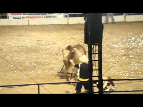 3ª Festa de Peão de Ipaussu 2011 - Parte 10