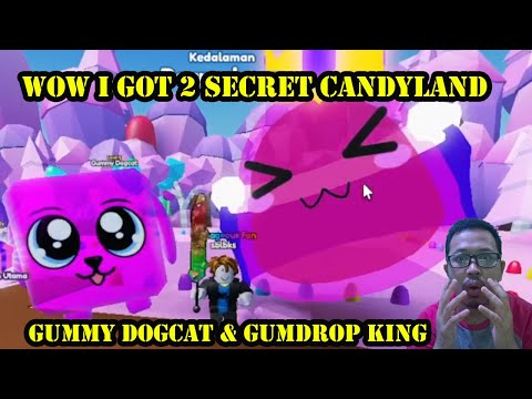WOW I GOT 2 SECRETS CANDYLAND GUMMY DOGCAT & GUMDROP KING - MINING SIMULATOR 2 ROBLOX