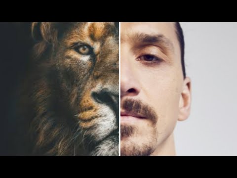 #fitness #motivation #football Lions🦁 don't compare themselves to humans 🙎‍♂️🙎‍♀️