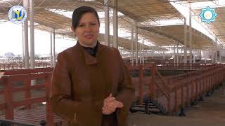 Видео лекция. Городище Тараз