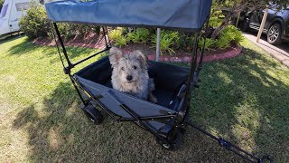 Kings Folding Beach Cart review
