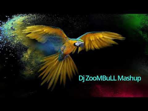 Pato's Groove - Macao Calussa  ( ZooMBuLL Mashup ) Tribal Afro House Vip Edit