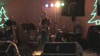 The Variomatics - Darling superstar