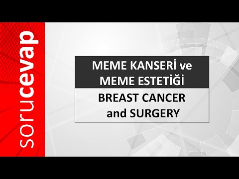 Meme Kanseri ve Meme Estetiği