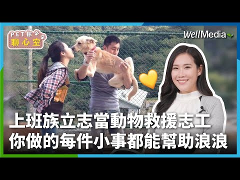 忙碌上班族如何幫助流浪犬？動物救援只要量力而為！正妹飼主：就算只是給一餐 也可能改變浪浪的命運 【PET你聊心室】EP2 影音記者 君瑭 (下集)
