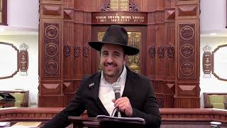 הרב מאיר אליהו | ליקר🍹או וויסקי 🥃 | משכן יהודה - ה׳תשפ״ה (הרב מאיר אליהו) - התמונה מוצגת ישירות מתוך אתר האינטרנט יוטיוב. זכויות היוצרים בתמונה שייכות ליוצרה. קישור קרדיט למקור התוכן נמצא בתוך דף הסרטון