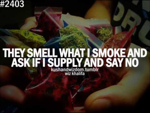 Cik.Money - Life Craze