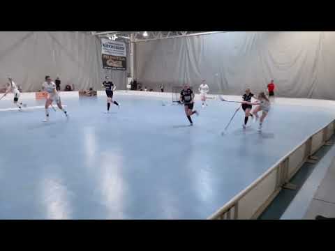 T21: Pirkat - EräViikingit 18.1.2023 maalikooste