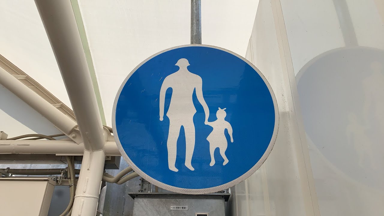 NHKから国民を守る党の総会に来たぞ放送