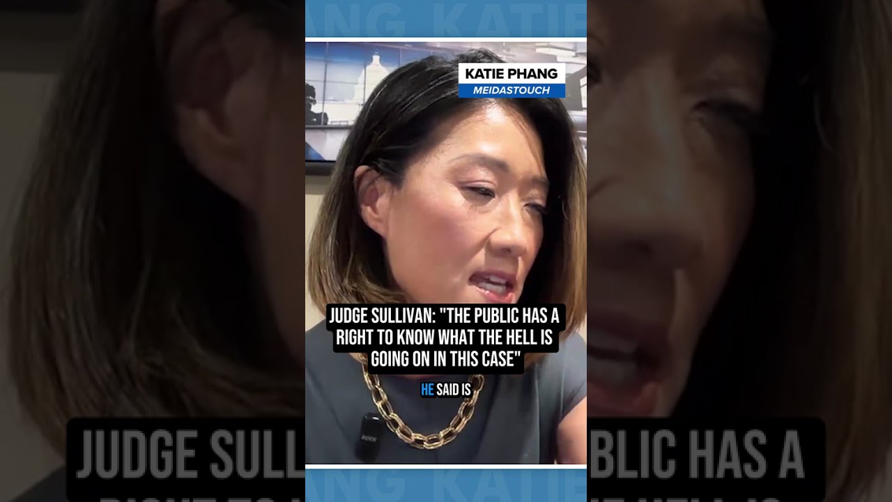 Judge REBUKES Trump DOJ During MY Epstein Hearing!!