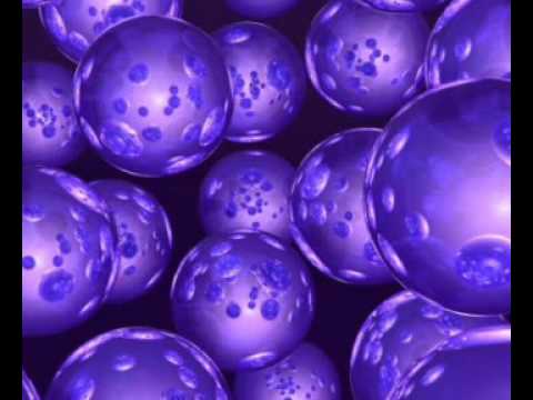 Montauk P.  - Out of choices