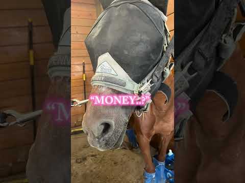 yes. I STILL HAVE NO MONEY 😭