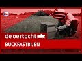 DE OERTOCHT: Buckfastbijen