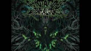 Annotations of An Autopsy - Sludge City