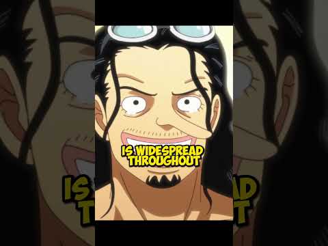 Straw Hat Pirates After 20 Years  #anime #onepiece