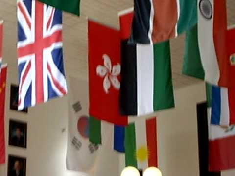 kurdish - Flag of great Kurdistan 2