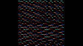 SHXCXCHCXSH - Nges [AVN044]