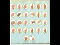 Sign Language ABC Story Book Reading