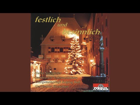 Der Gradtaktige (Radio Version)